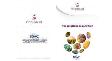 COOPERATION BETWEEN EDAC AND ANGIBAUD STARTS 